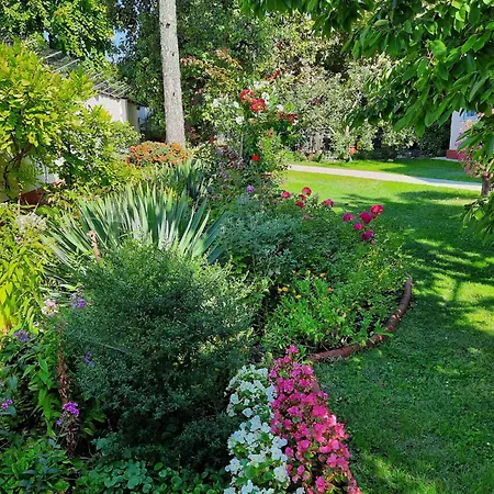 Appartement In - Balaton 19671