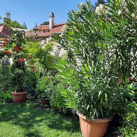 In - Balaton 19671 Appartement Siófok