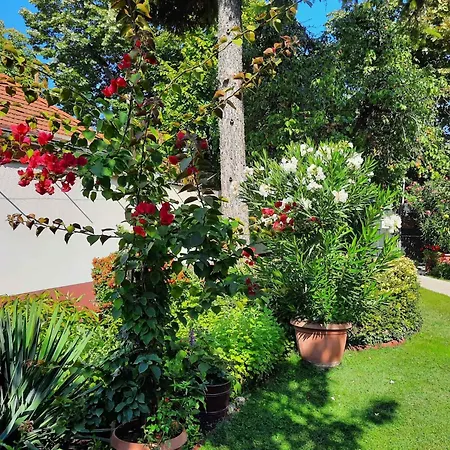 In - Balaton 19671 *