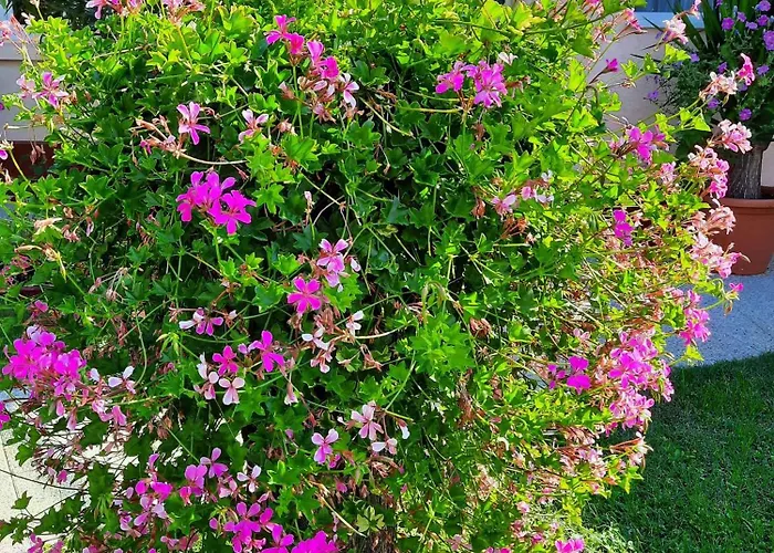 In - Balaton 19671 Apartment