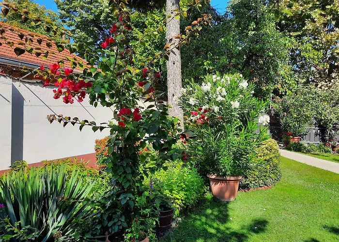 In - Balaton 19671 *